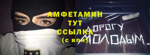 индика Бугульма