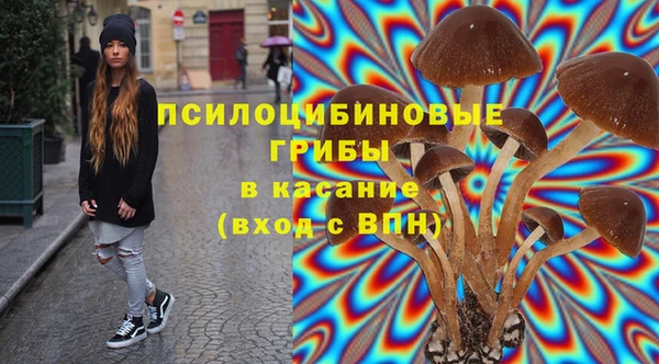 тгк Верея