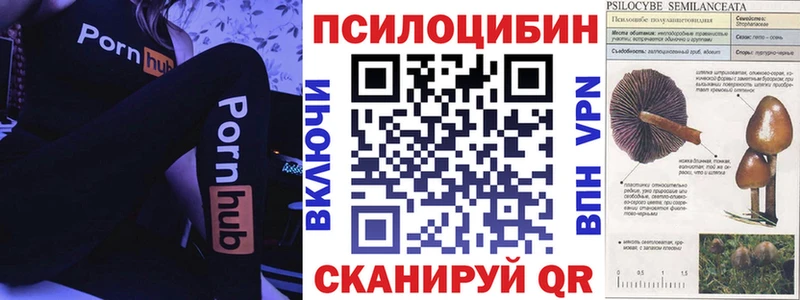 где найти наркотики  Инта  Псилоцибиновые грибы Psilocybe 
